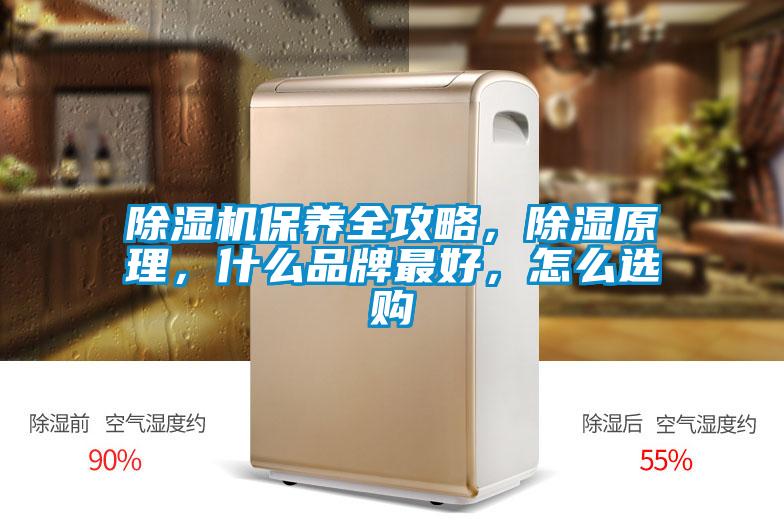 除濕機(jī)保養(yǎng)全攻略，除濕原理，什么品牌最好，怎么選購