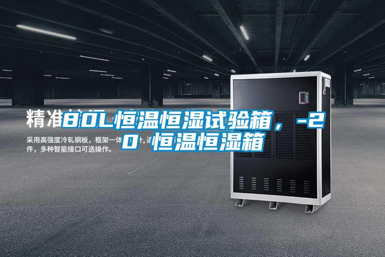 80L恒溫恒濕試驗(yàn)箱，-20℃恒溫恒濕箱