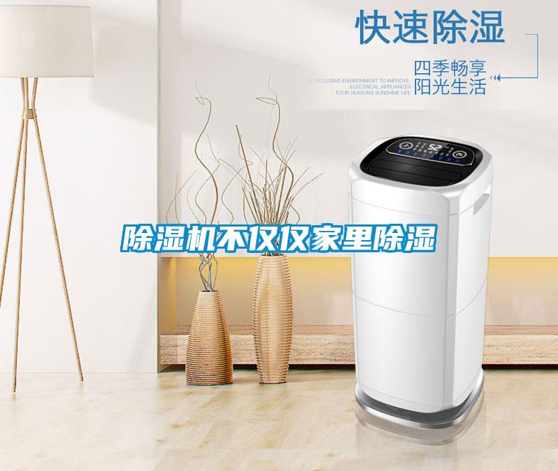 除濕機(jī)不僅僅家里除濕