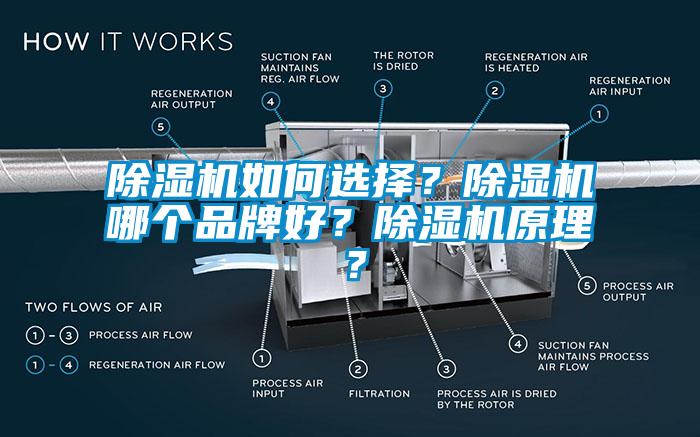 除濕機(jī)如何選擇？除濕機(jī)哪個(gè)品牌好？除濕機(jī)原理？