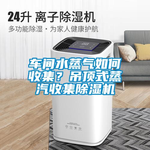 車間水蒸氣如何收集？吊頂式蒸汽收集除濕機