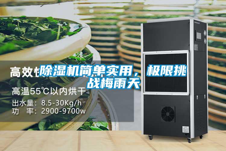 除濕機簡單實用，極限挑戰(zhàn)梅雨天