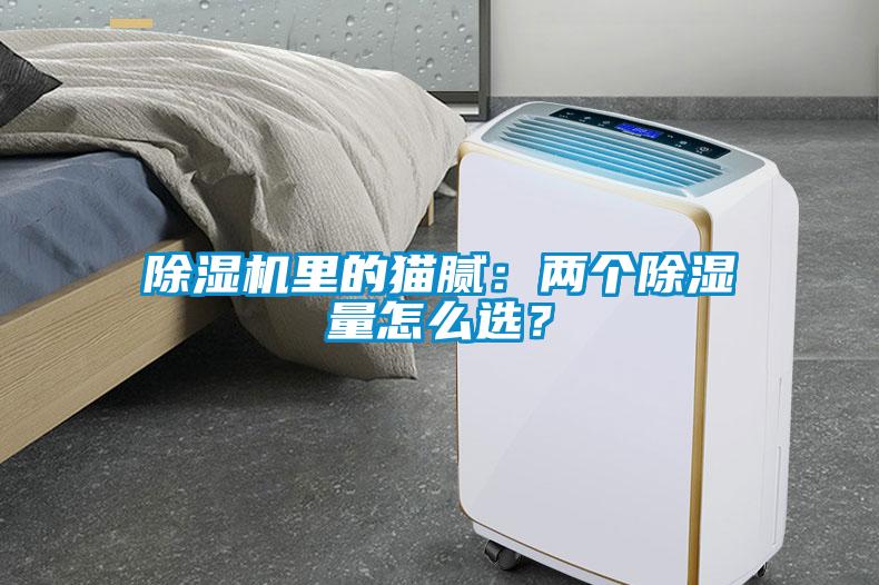 除濕機(jī)里的貓膩：兩個除濕量怎么選？