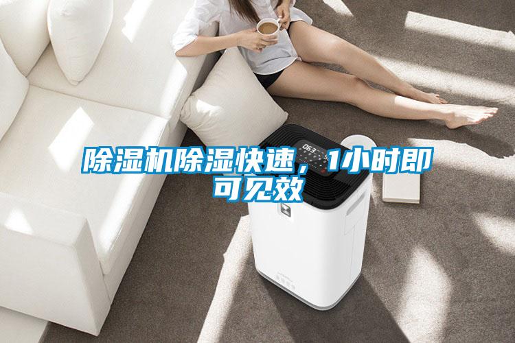 除濕機(jī)除濕快速，1小時(shí)即可見效
