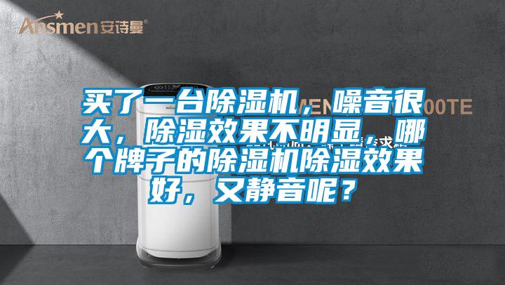 買了一臺除濕機，噪音很大，除濕效果不明顯，哪個牌子的除濕機除濕效果好，又靜音呢？