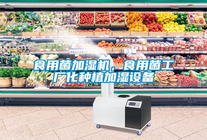 食用菌加濕機(jī)，食用菌工廠化種植加濕設(shè)備