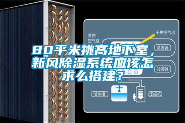 80平米挑高地下室，新風(fēng)除濕系統(tǒng)應(yīng)該怎求么搭建？