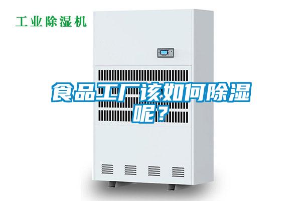 食品工廠該如何除濕呢？