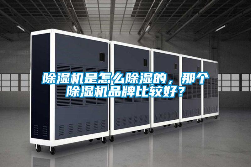 除濕機(jī)是怎么除濕的，那個(gè)除濕機(jī)品牌比較好？