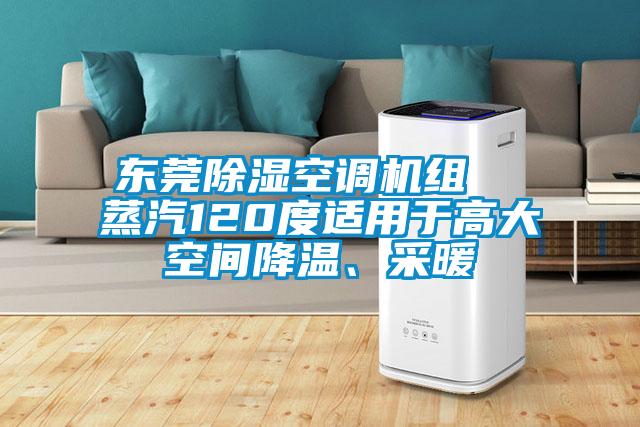 東莞除濕空調(diào)機(jī)組  蒸汽120度適用于高大空間降溫、采暖