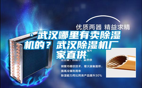 ·武漢哪里有賣除濕機的？武漢除濕機廠家直供