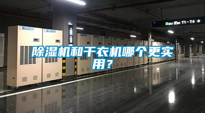 除濕機和干衣機哪個更實用？