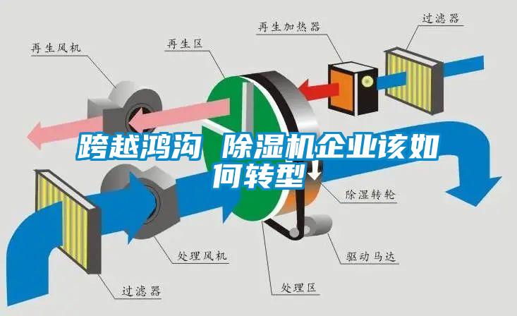 跨越鴻溝 除濕機(jī)企業(yè)該如何轉(zhuǎn)型