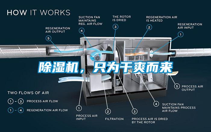 除濕機(jī)，只為干爽而來