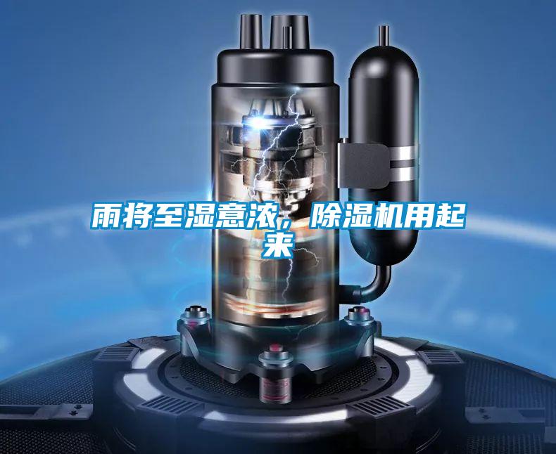 雨將至濕意濃，除濕機用起來