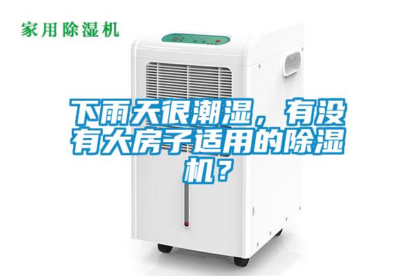 下雨天很潮濕，有沒有大房子適用的除濕機？