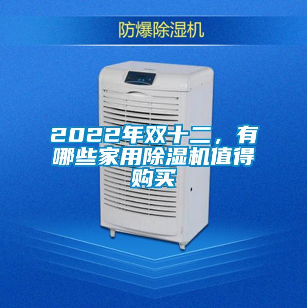 2022年雙十二，有哪些家用除濕機值得購買