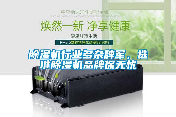 除濕機(jī)行業(yè)多雜牌軍，選準(zhǔn)除濕機(jī)品牌保無(wú)憂