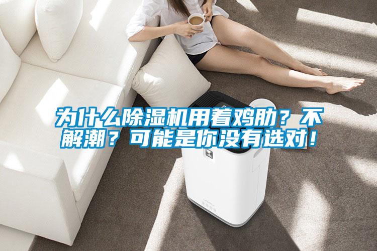 為什么除濕機(jī)用著雞肋？不解潮？可能是你沒有選對！