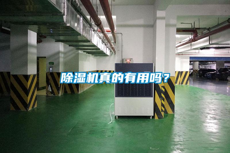除濕機真的有用嗎？