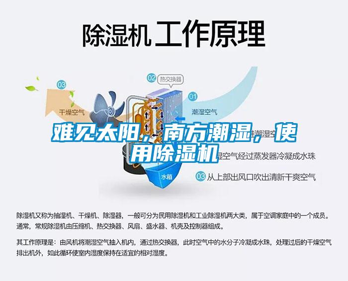 難見太陽，南方潮濕，使用除濕機