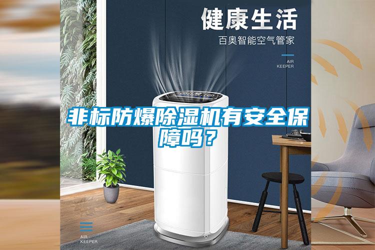 非標(biāo)防爆除濕機(jī)有安全保障嗎？