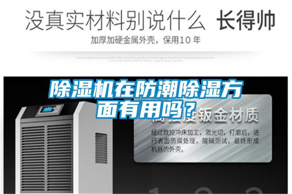 除濕機(jī)在防潮除濕方面有用嗎？