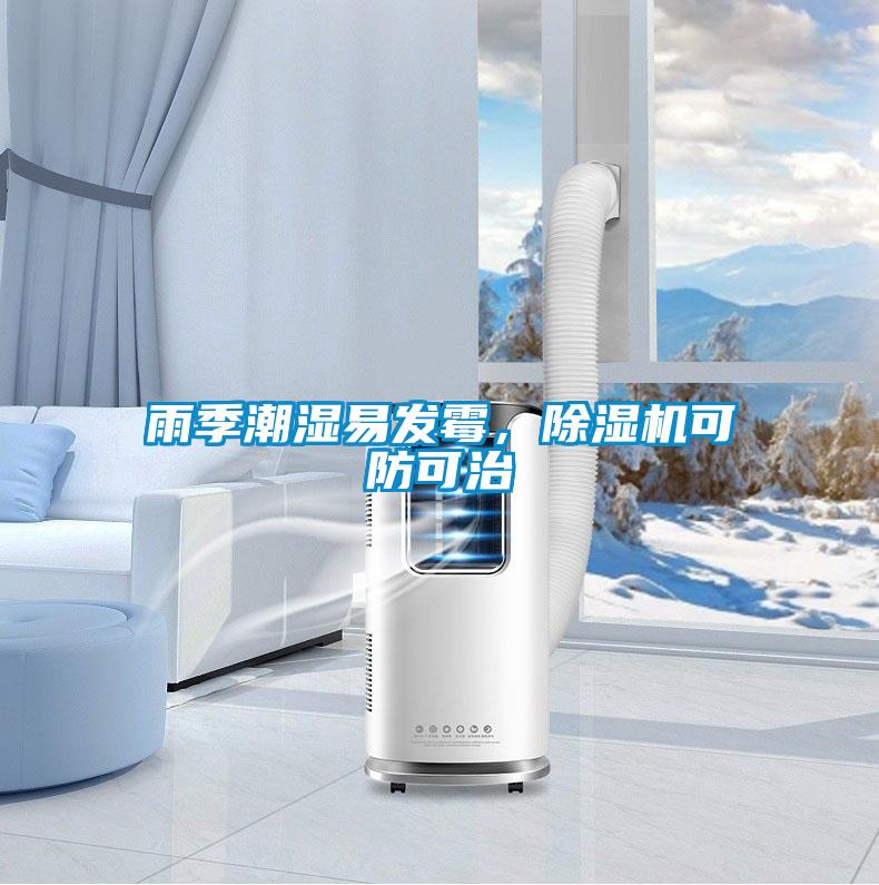 雨季潮濕易發(fā)霉，除濕機(jī)可防可治