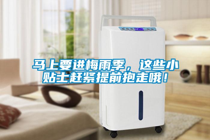 馬上要進(jìn)梅雨季，這些小貼士趕緊提前抱走哦！
