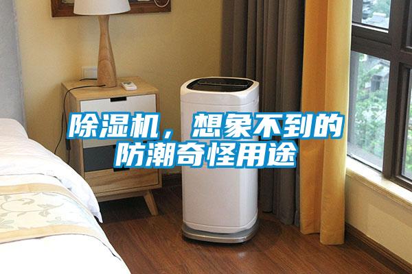除濕機(jī)，想象不到的防潮奇怪用途
