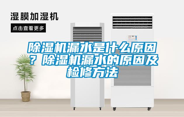除濕機(jī)漏水是什么原因？除濕機(jī)漏水的原因及檢修方法