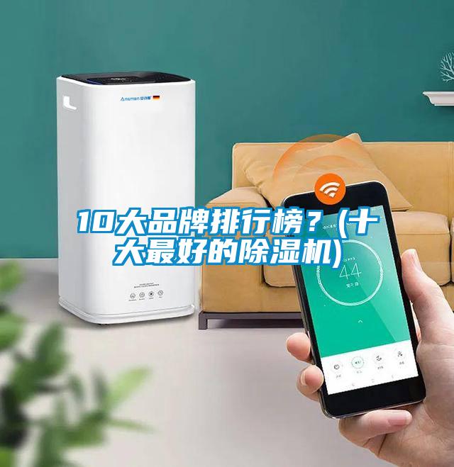 10大品牌排行榜？(十大最好的除濕機(jī))