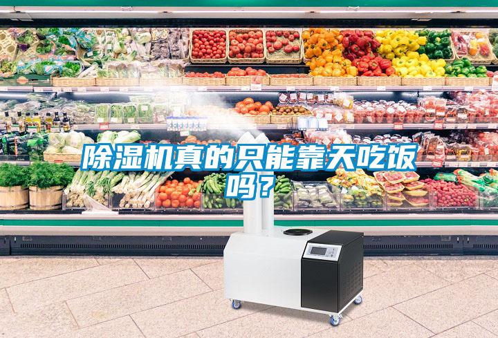 除濕機(jī)真的只能靠天吃飯嗎？