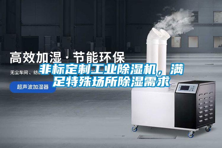 非標定制工業(yè)除濕機，滿足特殊場所除濕需求