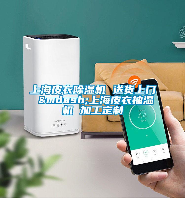 上海皮衣除濕機 送貨上門 &mdash;上海皮衣抽濕機 加工定制