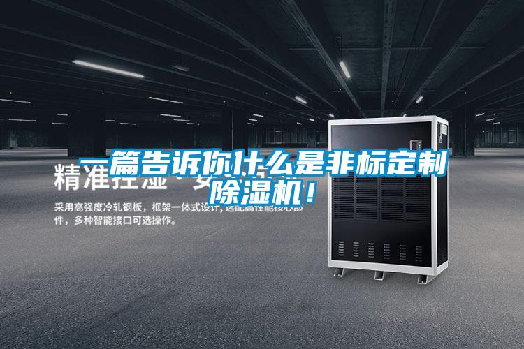 一篇告訴你什么是非標定制除濕機！