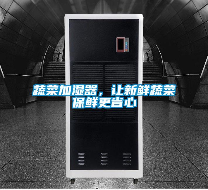 蔬菜加濕器，讓新鮮蔬菜保鮮更省心