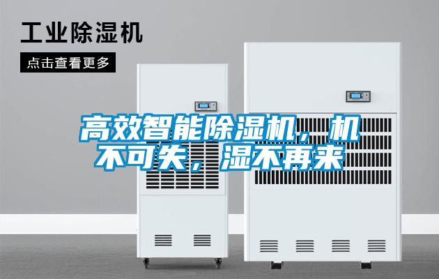 高效智能除濕機(jī)，機(jī)不可失，濕不再來(lái)