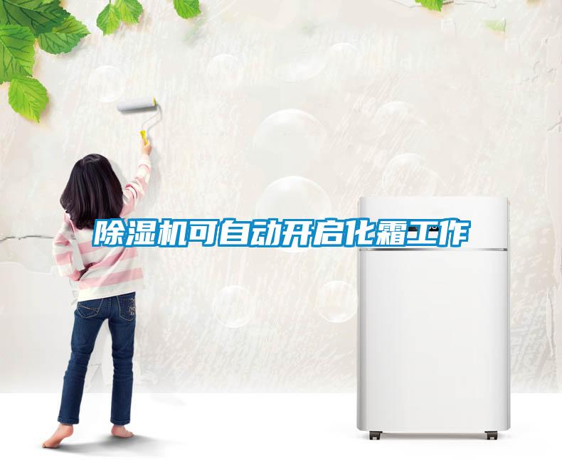 除濕機(jī)可自動開啟化霜工作