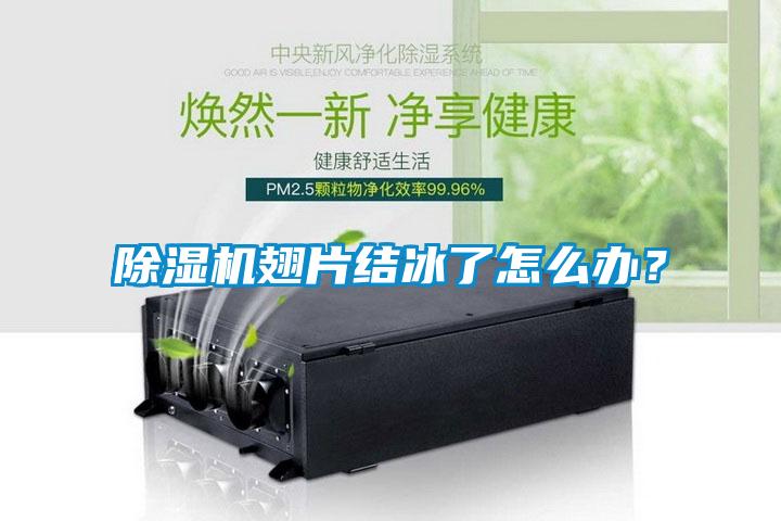除濕機(jī)翅片結(jié)冰了怎么辦？