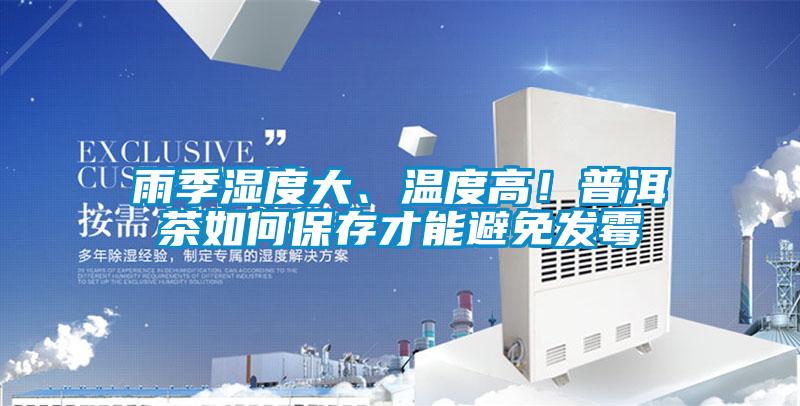 雨季濕度大、溫度高！普洱茶如何保存才能避免發(fā)霉