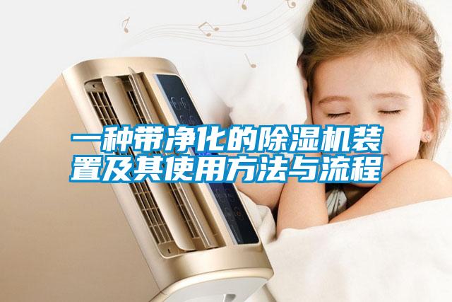 一種帶凈化的除濕機裝置及其使用方法與流程