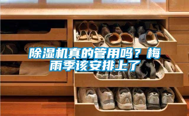 除濕機真的管用嗎？梅雨季該安排上了