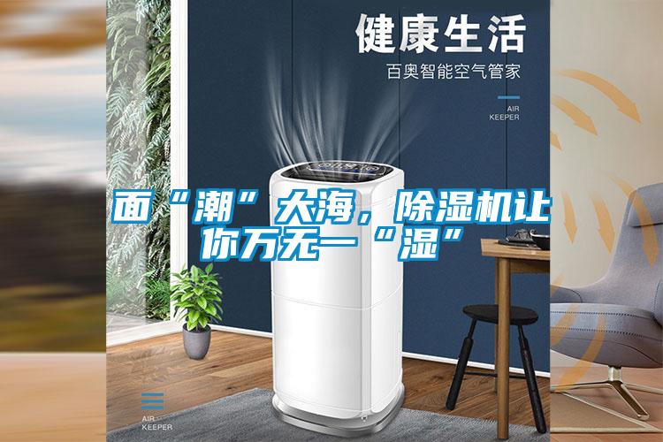面“潮”大海，除濕機(jī)讓你萬無一“濕”