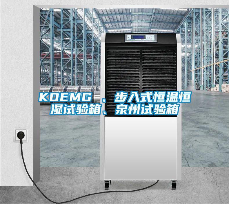 KOEMG 、步入式恒溫恒濕試驗箱、泉州試驗箱