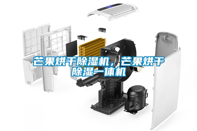 芒果烘干除濕機(jī)，芒果烘干除濕一體機(jī)