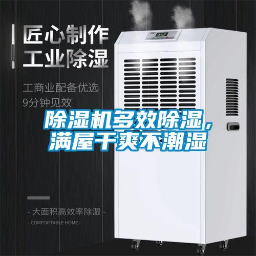 除濕機多效除濕，滿屋干爽不潮濕