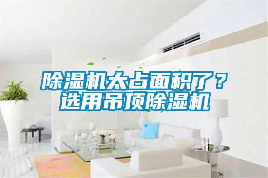 除濕機(jī)太占面積了？選用吊頂除濕機(jī)