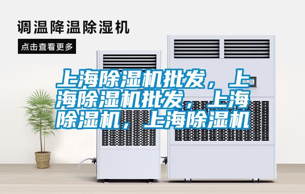 上海除濕機(jī)批發(fā)，上海除濕機(jī)批發(fā)，上海除濕機(jī)，上海除濕機(jī)