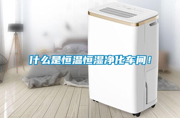 什么是恒溫恒濕凈化車間！